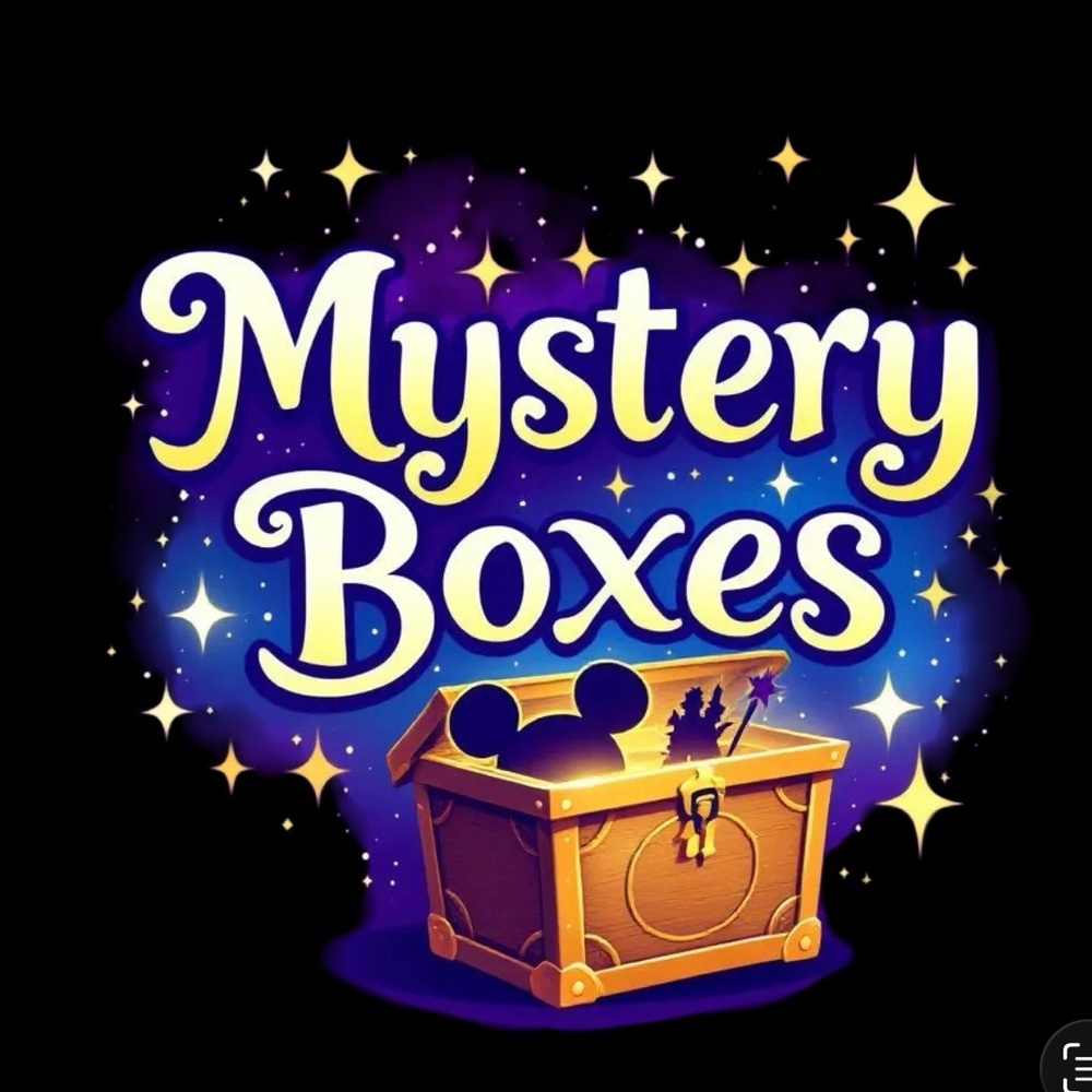 Disney Themed Medium Size Mystery Box